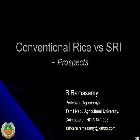 0893  Conventional Rice vs SRI - Prospects