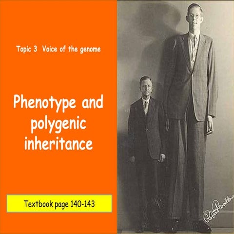 a level biology. Polygenic Inheritance.pptx