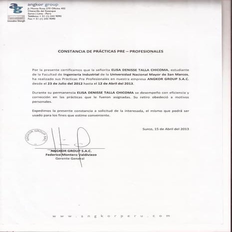 Professional Experience 001