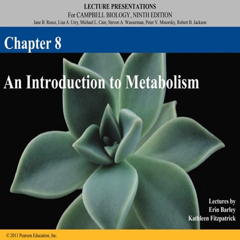 08 an introduction to metabolism