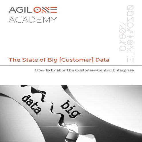 AGILONE-ACADEMY_The-State-of-Big-Customer-Data-2015-FINAL3