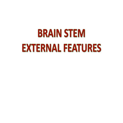 08Brain_stem-External_Features (2).pdf snells