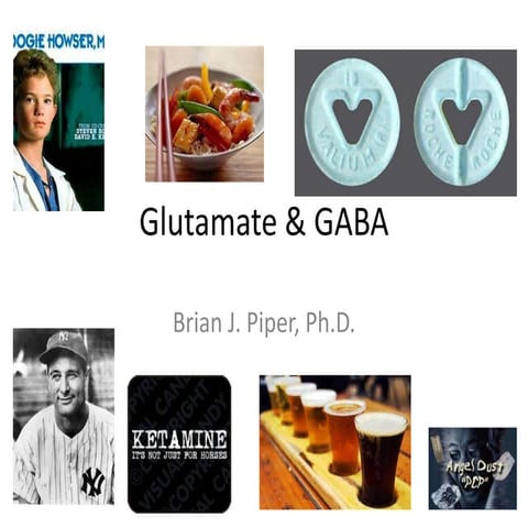 Neuropharmacology: GABA & Glutamate
