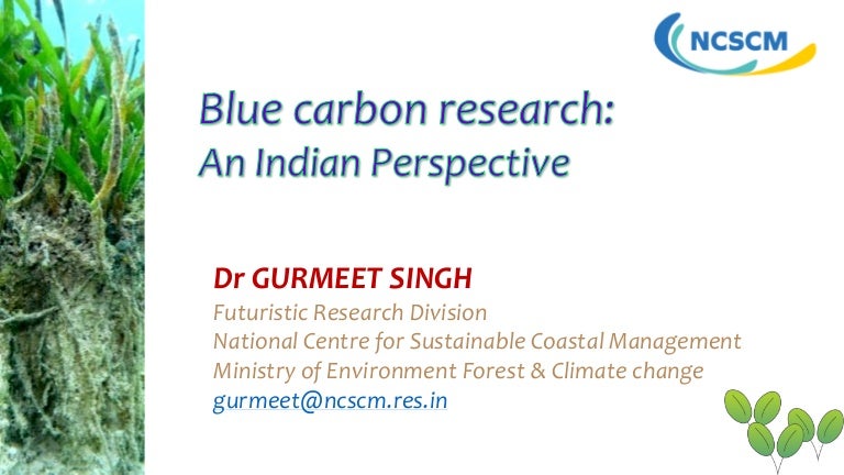 thumbnail of  Blue carbon research: An Indian Perspective