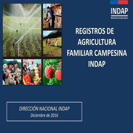 Registro de la Agricultura Familiar – Experiencia INDAP – Chile   
