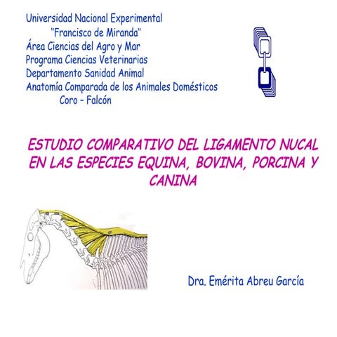 08 ligamento nucal comparada