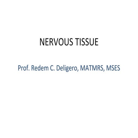 Nervous tissue