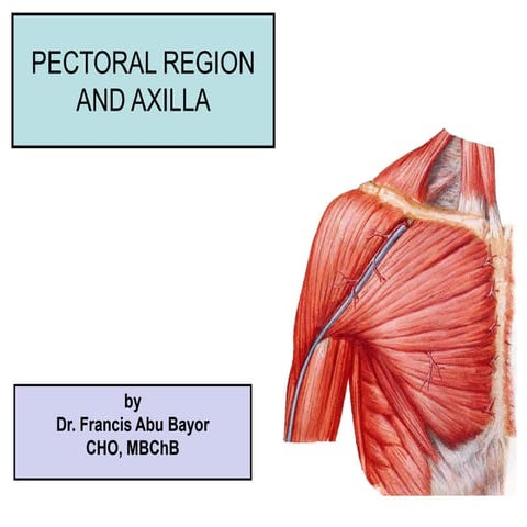 08 Pectoral region & axilla.ppt111111111