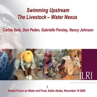 Swimming Upstream The Livestock – W...