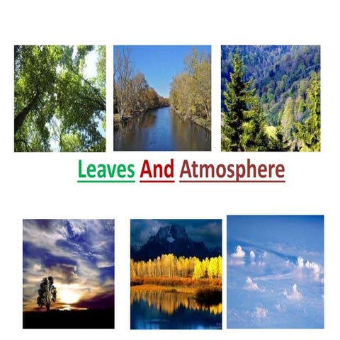 09 07 , 7leaves and atmosphere