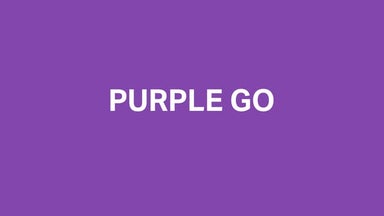 Purple Go: 500 Demo Day Batch 23