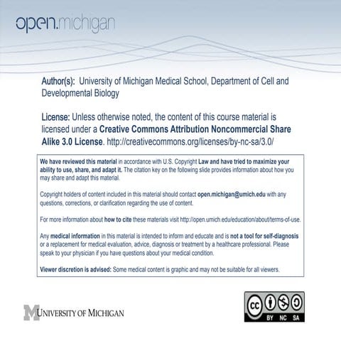 09.24.08: Skin and Glands 