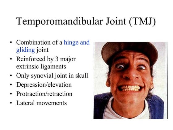 Anatomy and physiology of tibia and fibula tibia | DOC
