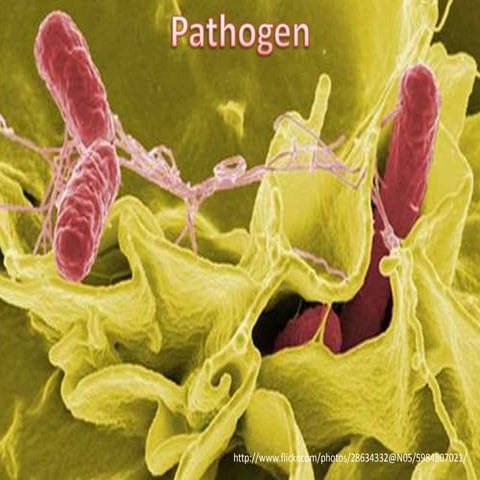 09 dc-diseases vocab-16 jaemins
