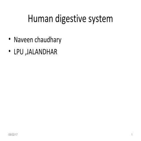  digestive system