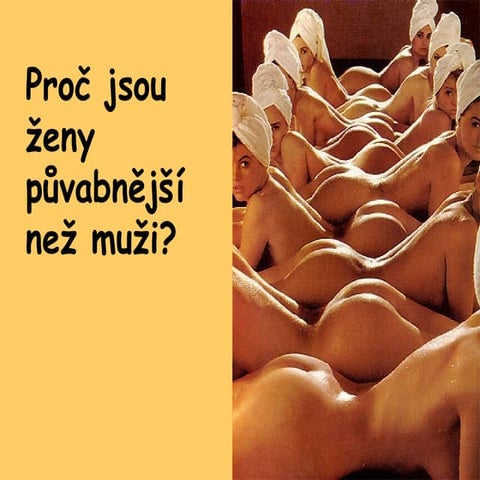 09  FóRky  Proč 01