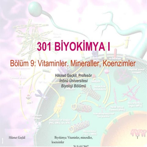 Biyokimya: Vitaminler, mineraller, koenzimler