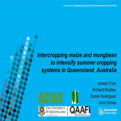 Intercropping maize and mungbean to intensify summer cropping systems in QLD,...