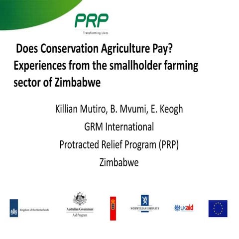 Does CA pay? Experiences from the smallholder farming sector of Zimbabwe. Kil...