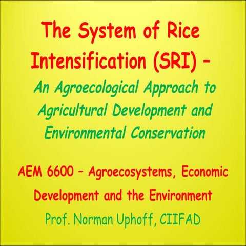 The System of Rice Intensification (SRI) An Agroecological Approach toAgri...