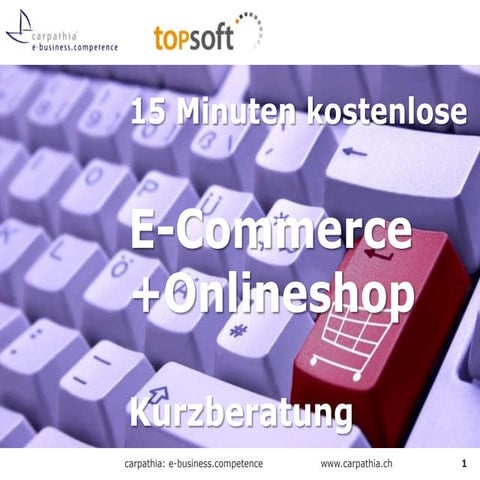 topsoft - E-Commerce und Onlineshop Kurzberatung