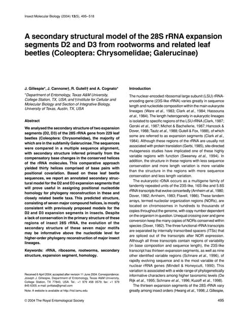 Gutell 091.imb.2004.13.495