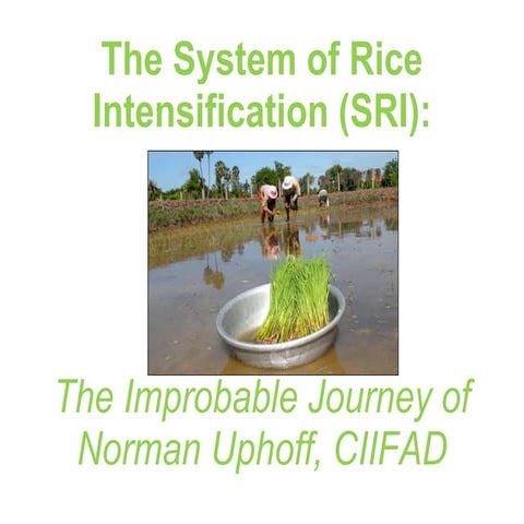 0911 The System of Rice Intensification (SRI): The Improbable Journey of Norm...