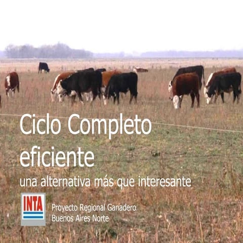 Ciclo Completo Eficiente