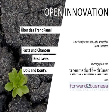 Trendpanel Open Innovation