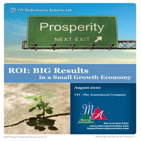 ROI Results in a Small Growth Economy
