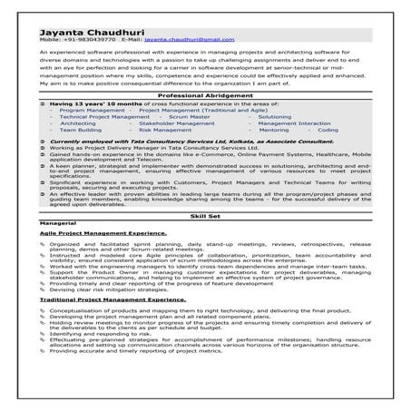 Professional summary