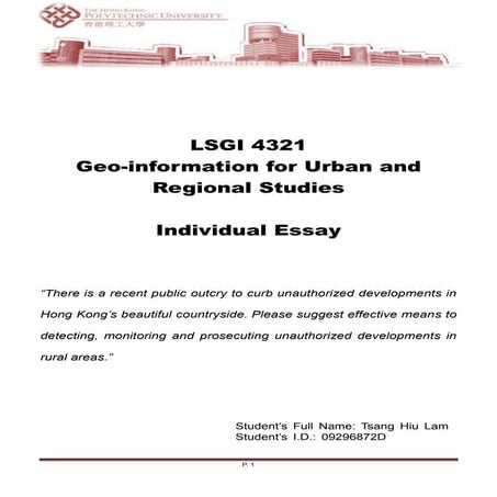 09296872d   individual essay