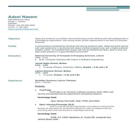 Resume - Adeel Naeem