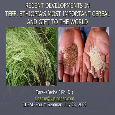 0940 Recent Developments in Teff, Ethiopia's Most Important Cereal and Gift t...