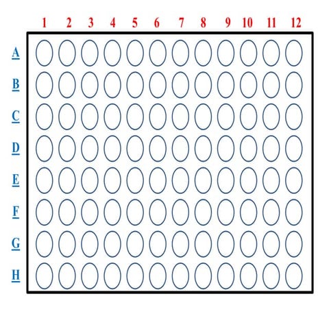 Plate Template For Lab Notebook | PPTX