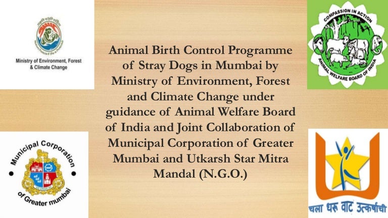 Abc Programme Stray Dogs Ministry Of Environment Forest And Clim