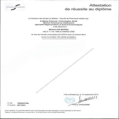 Master certificate | PDF