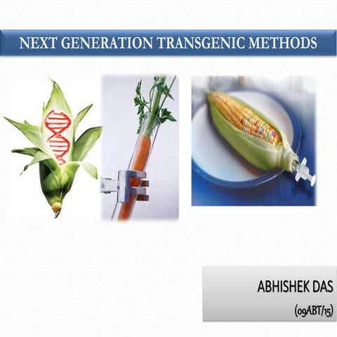 Next generation transgenic methods