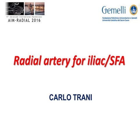 09 aimradial2016 fri2 C Trani