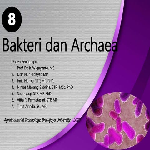 09 bakteri dan archae (2).pptx