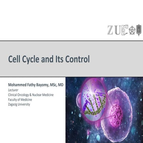 Cell cycle