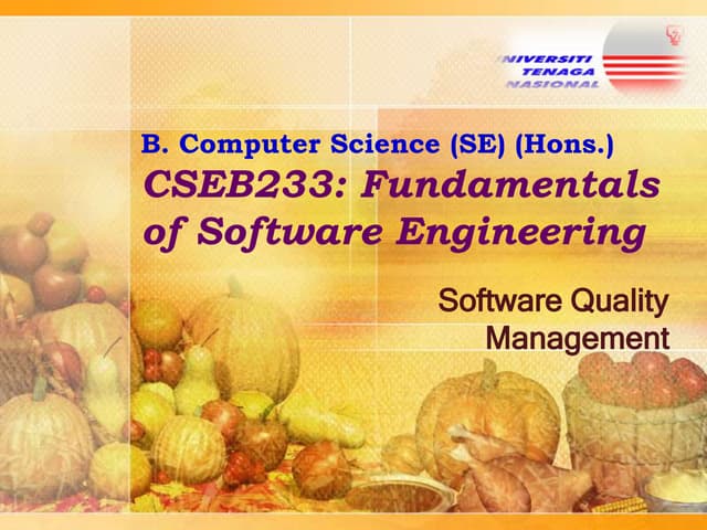 09 fse qualitymanagement