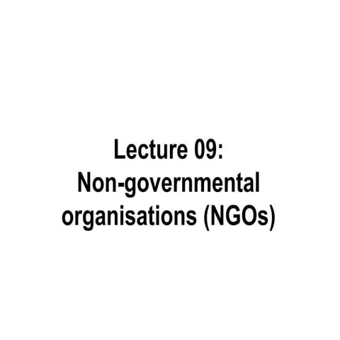 09  non governmental organisations