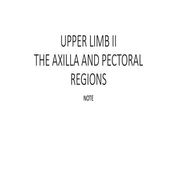 Spinal plexuses | PDF