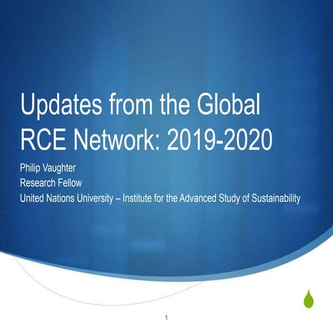 Updates from the Global RCE Network: 2019-2020