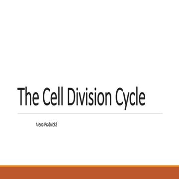 12 - The Cell Division Cycle
