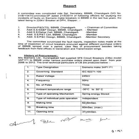 Report final 1.7.2014