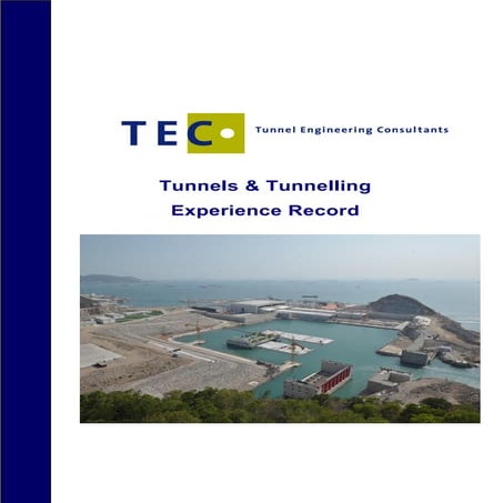 TEC Experience Record 2014 | PDF