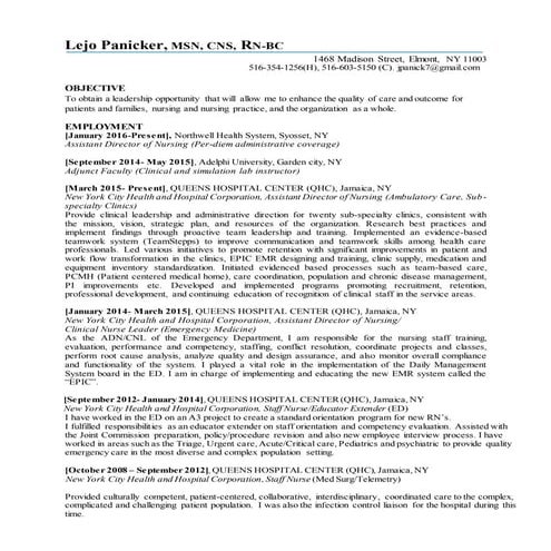 New Resume Lejo 2016