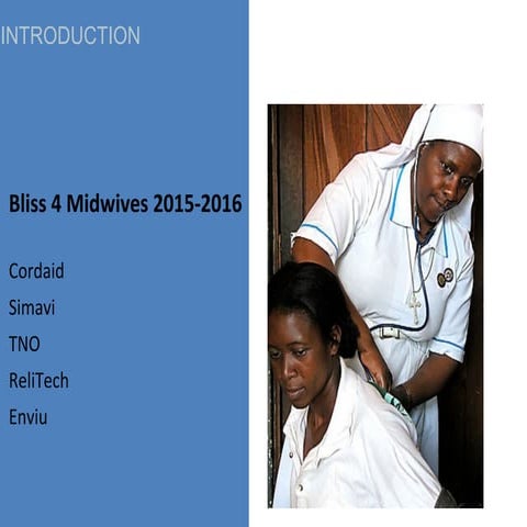 Bliss4Midwives